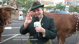 Romeria San Antonio Abad Tamaraceite 20 01 2024 [upl. by Clarette823]