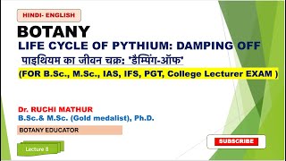 Pythium Life Cycle  Damping Off​  Fungi  Botany  B Sc amp M Sc ENGLISH  HINDI [upl. by Adnaram]