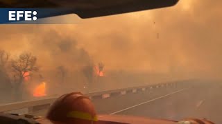 Incendios forestales han devastado más de 200000 hectáreas en Texas [upl. by Riana]