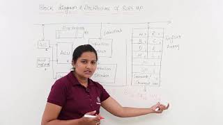 Block Diagram amp Architecture Of 8085 Microprocessor [upl. by Georges629]