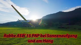 Robbe ASW 15 PNP bei Sonnenaufgang und am Hang [upl. by Ethelin]