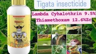 Tegata insecticide Parijat Lambda Cyhalothrin 95Thiamethoxam 126Zc [upl. by Curnin]