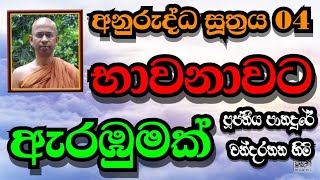 භාවනාවට ඇරඹුමක්  ඇරඹූ වීර්යය ඇති බව  VenPanadure Chandarathana Thero [upl. by Cassandre]