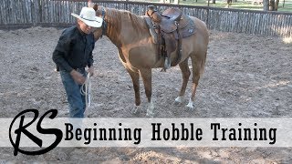 Hobble Training  Everyday Horsemanship [upl. by Deck928]