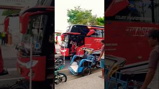 Bus Pariwisata Mustika Dewi [upl. by Johnston219]