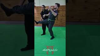 McDojo Short Behind the back Bullshido ninja kick catches [upl. by Nellek]