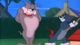 Tom si Jerry pe manele [upl. by Isyad259]