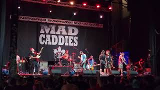 7  Coyote Mad Caddies Jannus Live 2024 [upl. by Enirak]