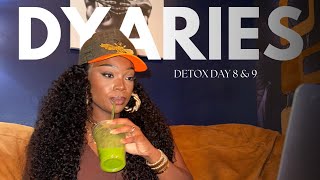 DYARIES EP9 Detox 7 amp 8 Eden Smoothies Grocery Shopping Juiceheads ATL [upl. by Keverne952]