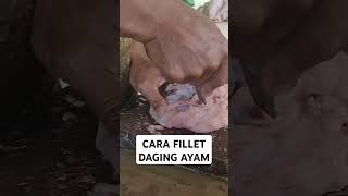 Cara Fillet Ayam shorts viralvideo ayam [upl. by Reseda]