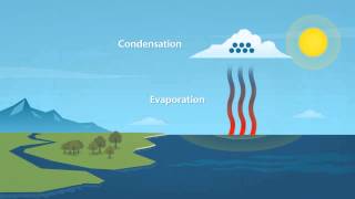 How does rain form and what is the water cycle [upl. by Other111]