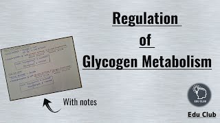 Regulation of Glycogen Metabolism  Glycogen metabolism  Carbohydrate metabolism  Biochemistry [upl. by Ennairol537]