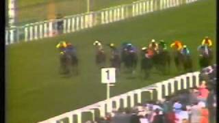 Horse Racing 1983 Coventry Stakes Ascot Chief Singer [upl. by Maxfield299]