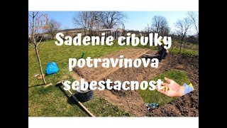 Sadenie cibulky  Potravinova sebestacnost [upl. by Phillips670]