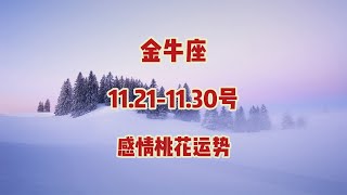 金牛座，11211130号，感情桃花运势 [upl. by Faline]