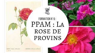 Formation n°6  PPAM La Rose de Provins [upl. by Imotas]