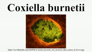 Coxiella burnetii [upl. by Gracye]