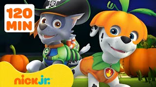 PAW Patrols Best Halloween Costumes w Rocky amp Marshall 🎃 2 Hours  Nick Jr [upl. by Shama]