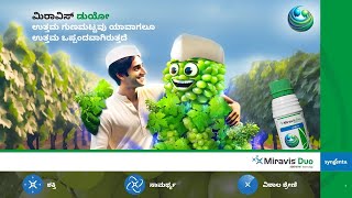 Syngenta  Miravis Duo  Grapes  Motion Poster  Kannada [upl. by Ecidna]