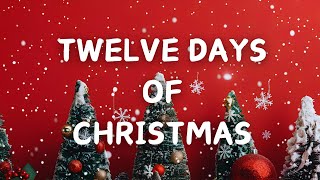 Twelve Days of Christmas with Lyrics  Christmas Carol amp Lyrics Video [upl. by Proulx569]