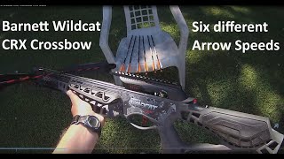 Barnett Wildcat CRX Crossbow First Shots [upl. by Nilesoj]