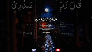 Rabbi sh rahli sadri wa yassirli amri  Surah Taha  سورۃ طہ shorts rabbi success youtubeshorts [upl. by Ahsiener458]