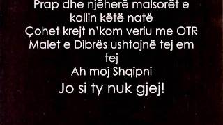 Noizy  Malet e dibres Me tekst [upl. by Ardeahp757]