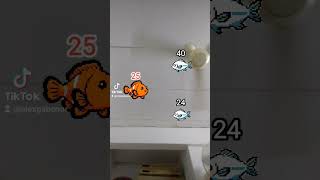 fish level up challenge shorts tiktok [upl. by Nicholl]