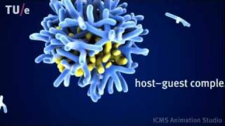 Dilution induced selfassembly of a dendrimer hostguest system [upl. by Etat329]