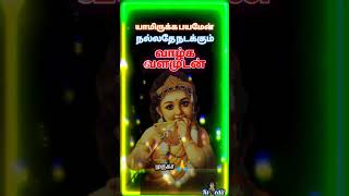 murugan whatsapp status tamil [upl. by Kcinemod]