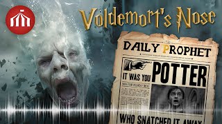 Harry Potter fan song 🎵  Voldemorts Nose [upl. by Primalia]