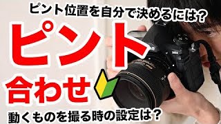 【ピント合わせの基本】フォーカスロックを覚えよう！一眼レフ初心者必見・ピントの位置を自分で決めて撮るには？ペットや子供など動く被写体を撮るときの設定はどうする？ [upl. by Nnylak]