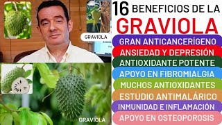 16 BENEFICIOS🌿🌳GRAVIOLA🌳🌿ANTICANCERÍGENO😮CORAZÓN❤️DEPRESIÓN👏HEMORROIDES👍FIBROMIALGIA🏋️ANTIMICROBIANO [upl. by Murphy]