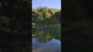 Naturpark Herbst Spaziergang Teich Wasser [upl. by Anawot862]