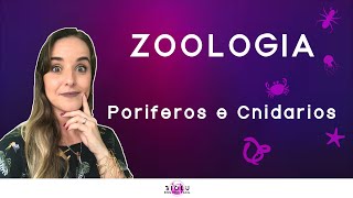 PORÍFEROS E CNIDÁRIOS  ZOOLOGIA l Prof Louise Medeiros [upl. by Nilkcaj245]