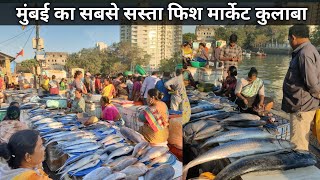 Sassoon Dock Fish Market Latest Video  Colaba Wholesale Fish Market  Colaba Fish Market Mumbai [upl. by Allis]