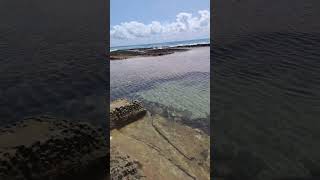 Piscinas naturais de enseada dos corais litoral sul de Pernambuco 🇧🇷⛵ [upl. by Forsyth437]