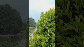 DANAU WANAYASA PURWAKARTA fyp fypシ゚viral nature pwk purwakarta viralvideo viralshort nature [upl. by Prinz]