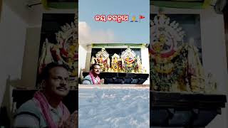 Tora ratnasinghasana tale basi odiashorts jayjagannath youtubeshorts shorts [upl. by Kittie]