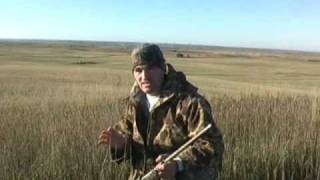 Sandhill Crane Hunting North Dakota 7 kill shots [upl. by Hendrika]