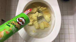 Will it Flush  Pringles [upl. by Xuagram]