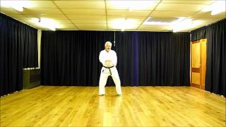 Pinan Nidan Kata 1 Wado Ryu Malcolm Hewitson [upl. by Granoff292]