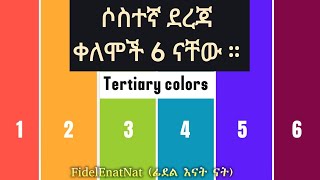 የቀለማት አይነቶች ክፍል 03  ስድስቱ ሶስተኛ ደረጃ ቀለማትን እንማራለን  Learn Tertiary colors [upl. by Aeneus533]