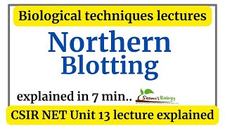 Northern blotting technique in Hindi  Northern blotting principle and animation [upl. by Shifrah]