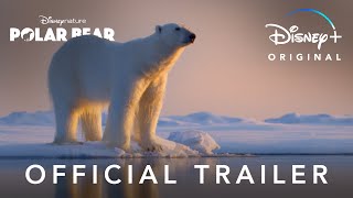 Official Trailer  Disneynature’s Polar Bear  Disney [upl. by Kristofor]