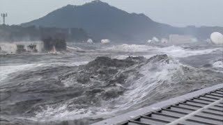 2011 Japan Tsunami  Kesennuma City Fish Market Full Footage [upl. by Erdnuaed342]