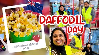 මොනාද මේ නවසීලන්තයේ Voluntary Services 🤝😊 Daffodil Day 🇳🇿 [upl. by Nareik]