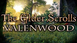 Elder Scrolls Valenwood  Lore Explained [upl. by Cati317]