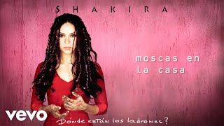 Shakira  Moscas en la Casa Letra Lyrics [upl. by Shipley]