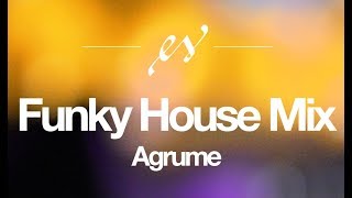 Funky House Mix  Agrume Exclusive  Music to Help StudyWorkCode [upl. by Nitsyrc257]